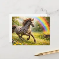 Gorgeous Appaloosa at the Rainbow Postcard