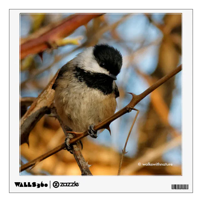 Cute Hopeful Black-Capped Chickadee Songbird Wall Decal