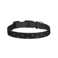 Adorable black and white polka dots pet collar