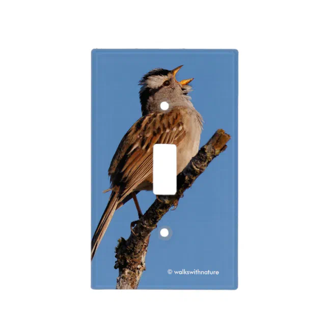 White-Crowned Sparrow Sings to the Sun Light Switch Cover