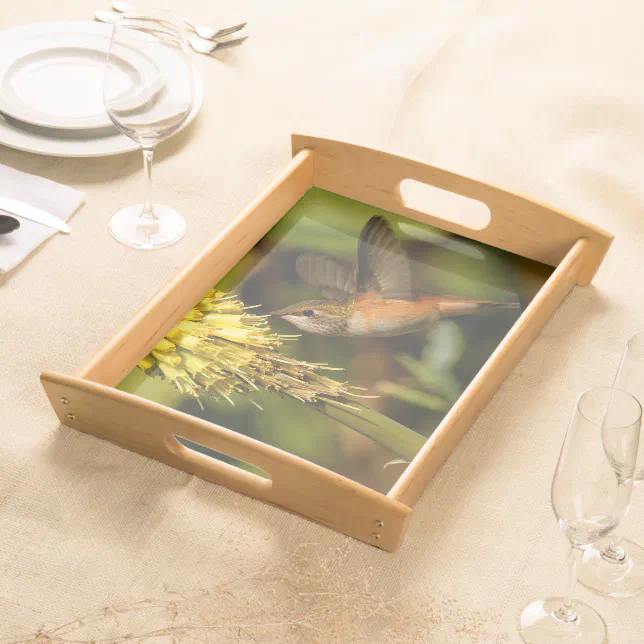 Rufous Hummingbird Sipping Kniphofia Nectar Serving Tray