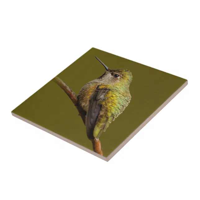 Anna's Hummingbird on Scarlet Trumpetvine Ceramic Tile