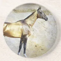 Akhal-teke Drink Coaster