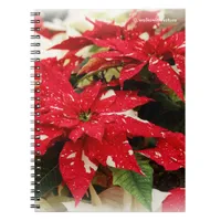 Festive Red White Floral Poinsettia Flowers Notebook