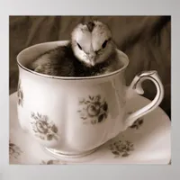 Boots in a Tea Cup Poster