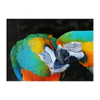 Parrots - Best friends Acrylic Print