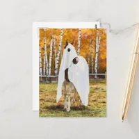 Cute Ghost Horse in Autumn Postcard