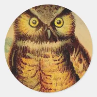 Owl Classic Round Sticker