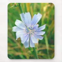 Chickory Flower Mouse Pad