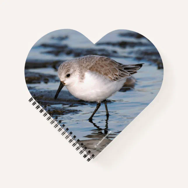 Cute Little Sanderling at the Beach Notebook