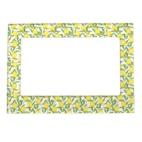 Lemons Magnetic Frame