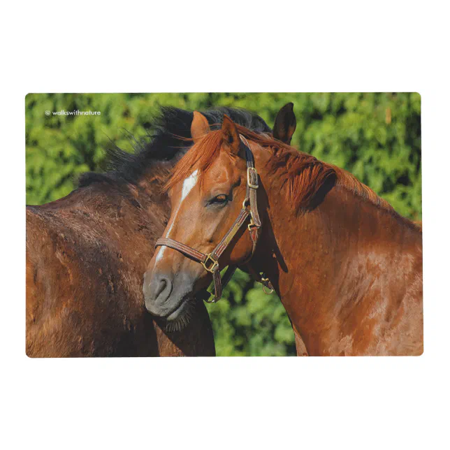 Two Beautiful Chestnut Horses in the Sun Placemat