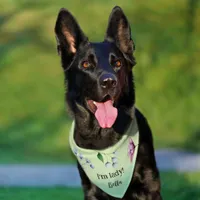 Stylish Chic Elegant Pastel Colors Watercolor  Pet Bandana Collar