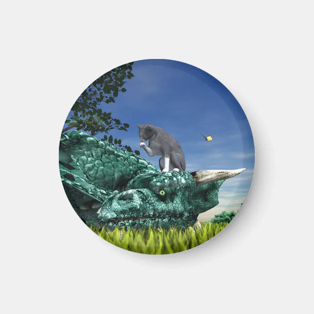 Surprise Visitor - Cute Cat on Dragon’s Head
