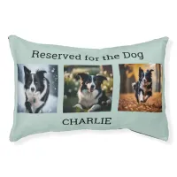 Reserved for the Dog Multi Photo Collage Duck Egg Pet Bed