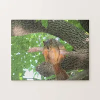 Funny Squirrel just Hanging out in Tree Jigsaw Puzzle
