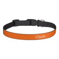 Custom Personalized Name Photo Art Orange Medium Pet Collar