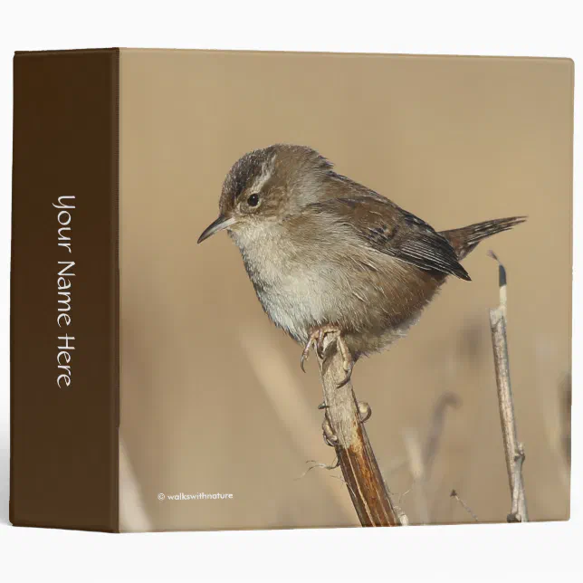 Profile of a Beautiful Marsh Wren 3 Ring Binder