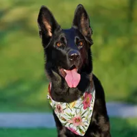 Daylilies Botanical Design Pet Bandana Collar