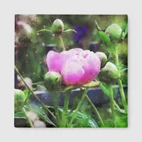 Pink Peony Watercolor Growth  Magnet