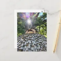 A Troll Sleeps Under a Beautiful Tree Postcard