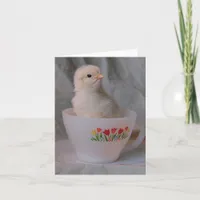 Chick in A Vintage Teacup All Ocassion Digital Art Card