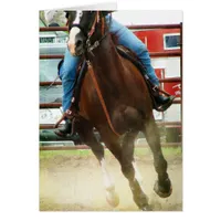 Barrel Race Horse