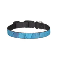 I'm blue - Macaw feathers Pet Collar