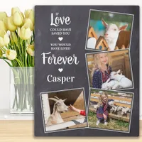 Pet Memorial Sympathy Keepsake Pet Loss 4 Photo Plaque