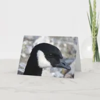 Canadian Goose Card