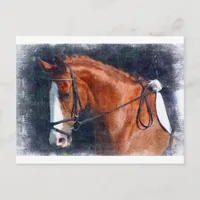 Dressage Horse Postcard