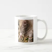Stop and Smell the Flowers Coffee Mug