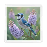 Pretty Blue Jay Standing on Lilac Branches Acrylic Tray