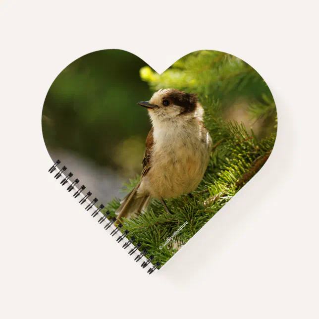 Profile of a Cute Grey Jay / Whiskeyjack Notebook