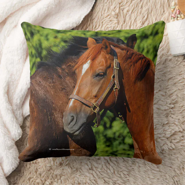 Beautiful Chestnut Horses in the Summer Sun Throw Pillow