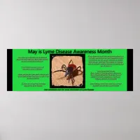 Lyme Disease Awareness Facts Poster