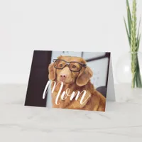 Mom Pet Photo Happy Mothers Day Cute Funny Dog Mom Card