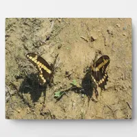 Two Butterflies on Sandy Beach Photography Plaque