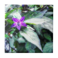 Ornamental Pepper Purple Flower Tile