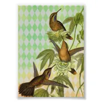 Hummingbird Digital Art Photo Print