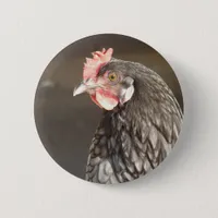 Blue Hen Pinback Button