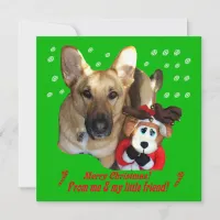 German Shepherd & Toy Reindeer Flat Card