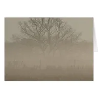 Foggy Tree