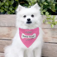 Snack Thief Extraordinaire Pink Dog Funny Humor Pet Bandana Collar