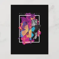Metamorphosis  Butterfly Postcard