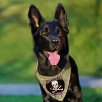 Bride's Crew  Pet Bandana Collar