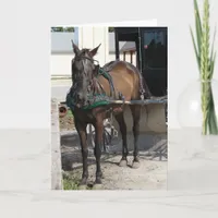 At the Hitching Post Card