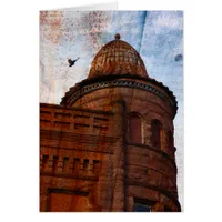 Pigeon and Rusty Building Roof