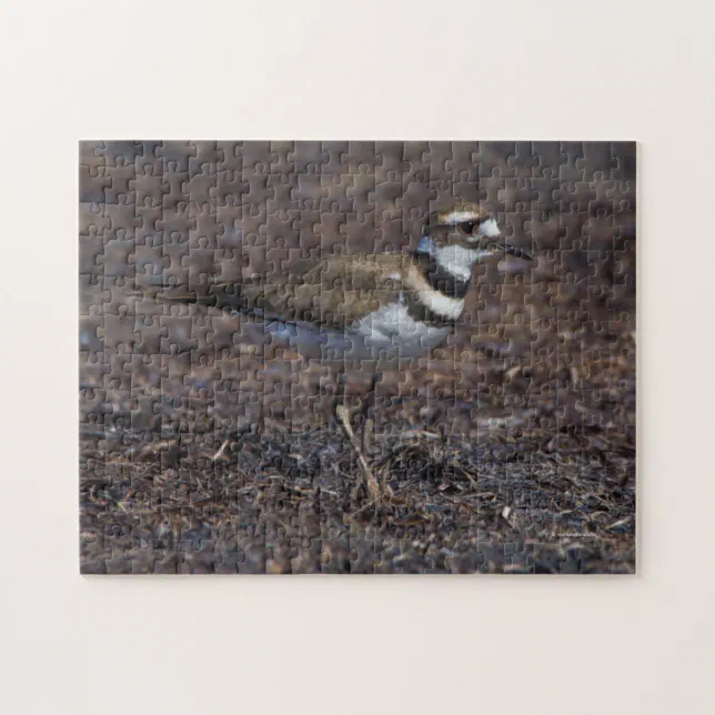 Beautiful Killdeer at the Beach Jigsaw Puzzle