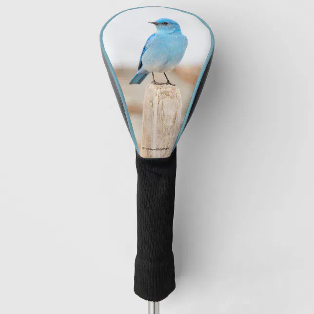 Beautiful Mountain Bluebird on a Stump Golf Head Cover